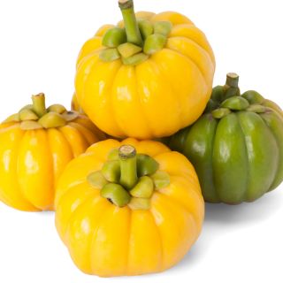 Garcinia Cambogia