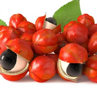 Guaranà